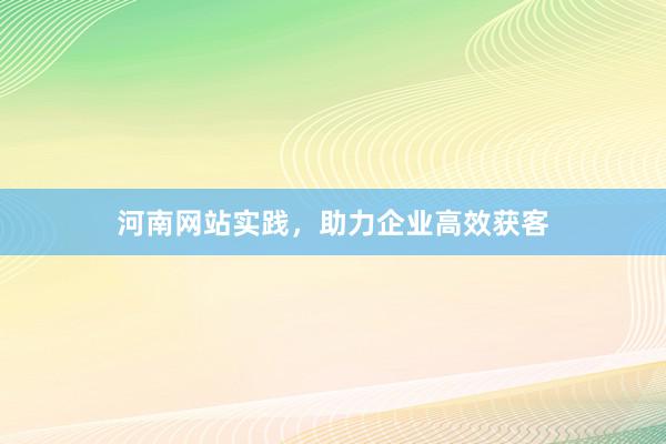 河南网站实践，助力企业高效获客