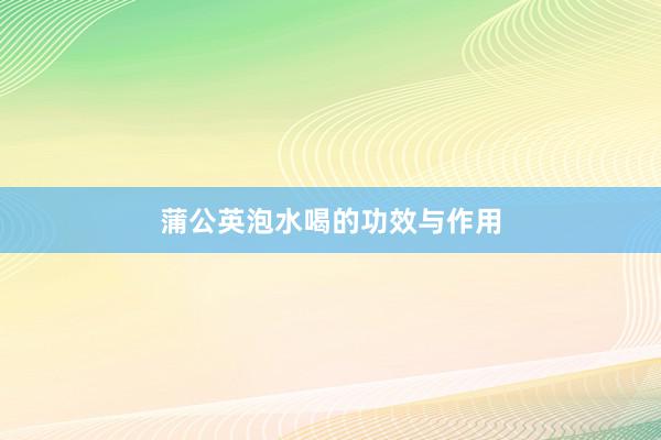 蒲公英泡水喝的功效与作用
