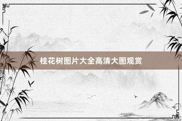 桂花树图片大全高清大图观赏