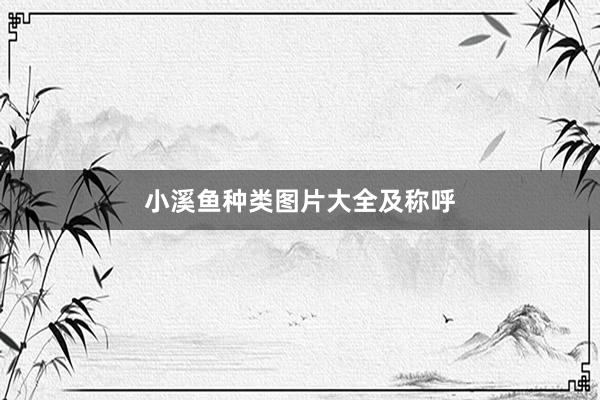 小溪鱼种类图片大全及称呼