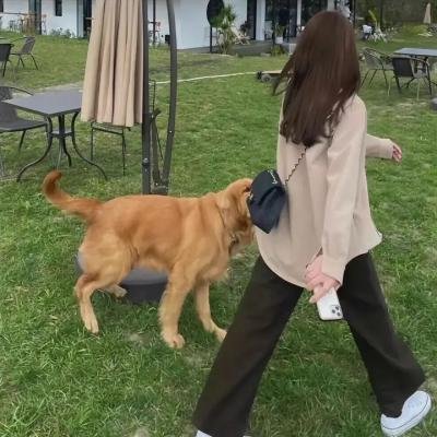 触不到的恋人